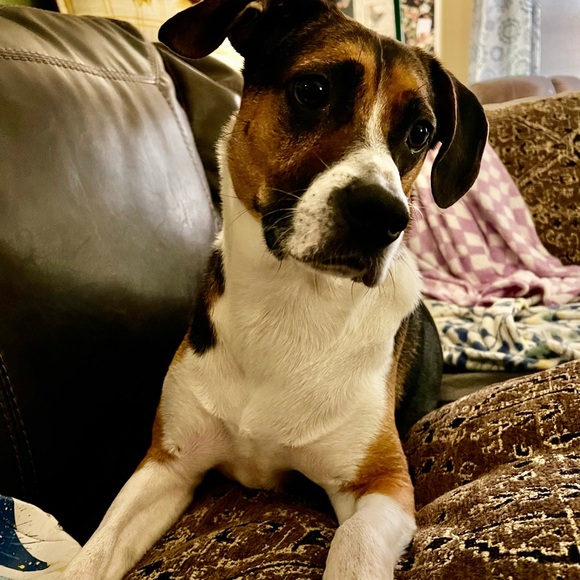 Meet your Posher, Karen - Picture 3 of 5